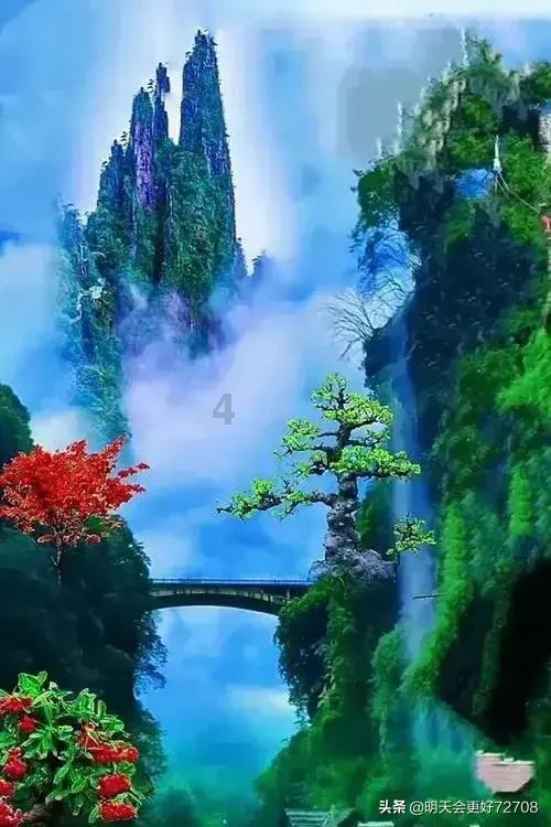 救援旅游者